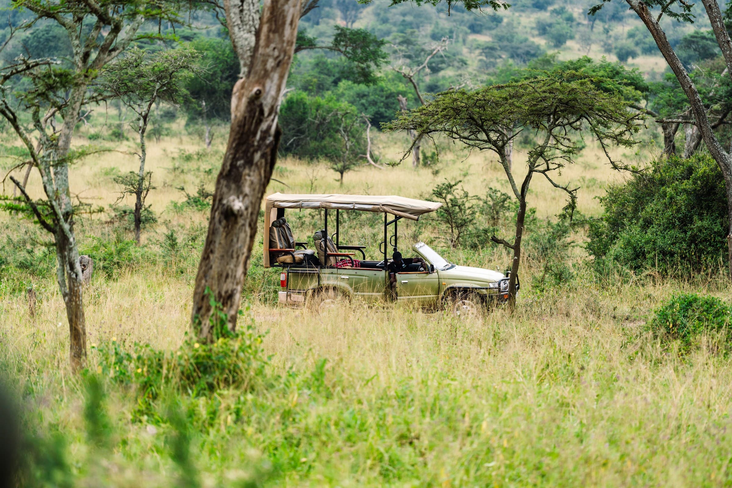 Tropical Wilderness Wildlife